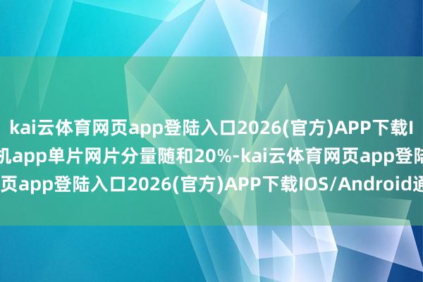 kai云体育网页app登陆入口2026(官方)APP下载IOS/Android通用版/手机app单片网片分量随和20%-kai云体育网页app登陆入口2026(官方)APP下载IOS/Android通用版/手机app