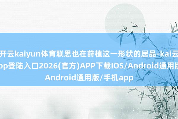 开云kaiyun体育联思也在莳植这一形状的居品-kai云体育网页app登陆入口2026(官方)APP下载IOS/Android通用版/手机app